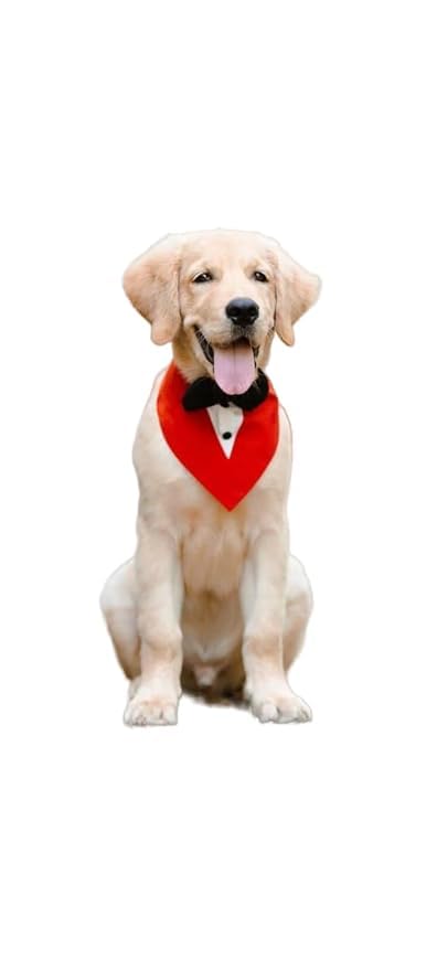 Bhumi Enterprises-Dog-Bow Tuxedo Bandana, Dog Wear for Festival Wedding, Party,Diwali,Valentines, Dog Bow Bandana Cottan Fabric (XXXXL, Blue) (B0CKFK1WYJ) Amazon Price History, Amazon Price Tracker