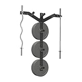 Vlaeng Wall Weight Plate Holder and Barbell Holder, 6 Pegs & 4 Barbell Storage Racks Load Up to 1190 LBS, Wall Mounted Weight Plate Holder, Bumper Plate Storage for Home Gym, Fit 2' Olympic Plates