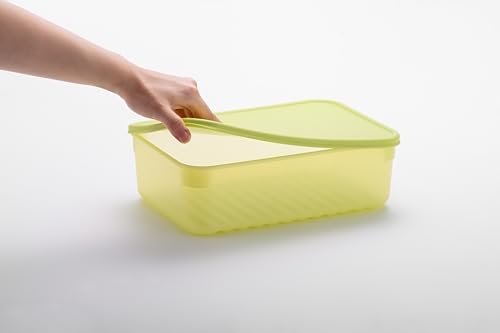 Image of LocknLock Fresh-Block Plastic Food Storage Container | Produce Storage Containers for Fridge | Vegetable & Fruit Storage Containers for Fridge, Storage, Microwave & Dishwasher Safe, 1.5L