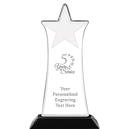 Crown Awards 8.75" 5 Years of Service Meteorite Acrylic, Personalize with Your Engraving