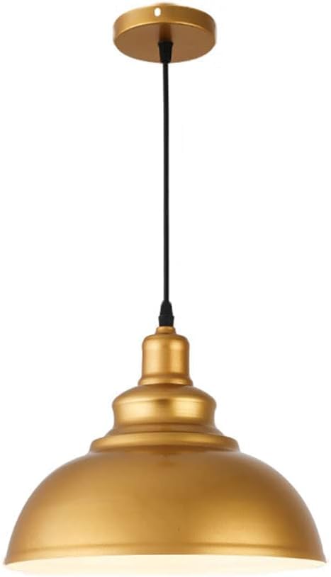 Lumière de plafond industrielle rétro CFWSHJ, luminaire suspendu