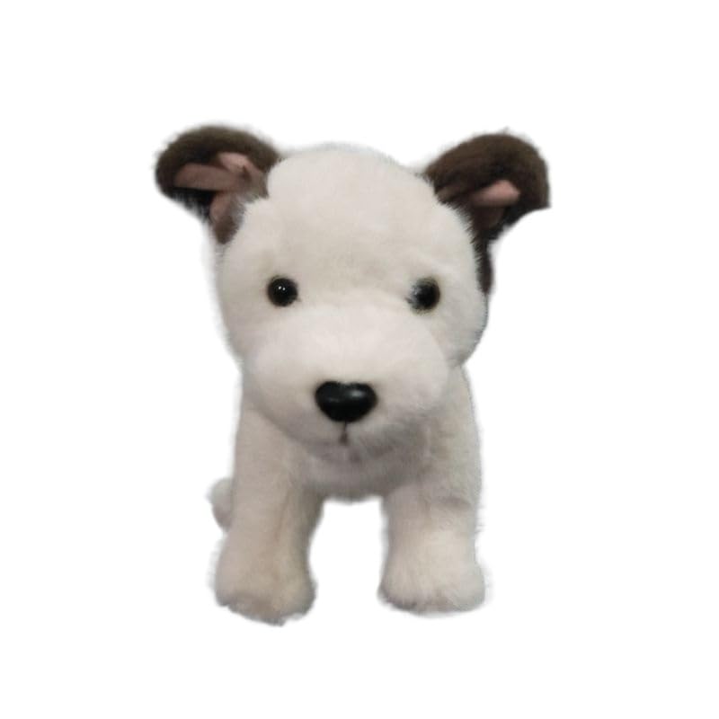 Un'affascinante scelta regalo: un regalo meraviglioso for chi ama i cani o for i proprietari e gli appassionati di Jack Russell, in occasione di compleanni, Natale o altre occasioni speciali.