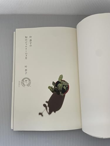 Amazon.co.jp: 叶 恭子: 本、バイオグラフィー、最新アップデート