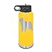 Newfoundland Laser Engraved Water Bottle Customizable Polar Camel Stainless Steel with Straw - Dog Canine pet Yellow 32 oz