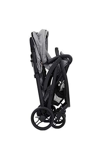 joie evalite duo raincover