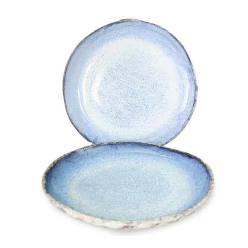 RoRo Rustic Coral Handmade Ceramic Stoneware Dinner Plates and Bowls, Reactive Blue Set of 2, Textured Finish (Coral, Dinner Plate) RoRo Rustic Coral Handmade Ceramic Stoneware Dinner Plates and Bowls, Reactive Blue Set of 2, Textured Finish (Coral, Dinner Plate)