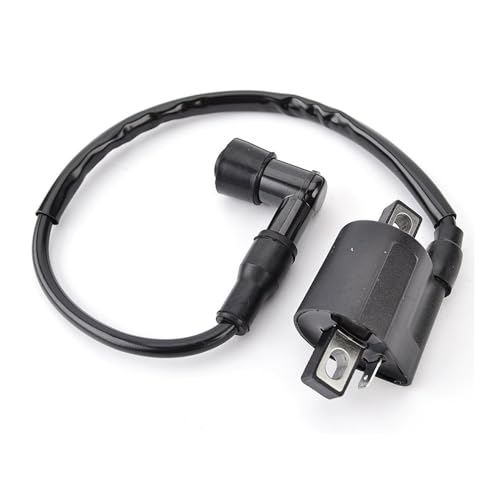 Bobina de encendido para CW50: soluciona los problemas de arranque y fallos de motor