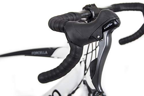 tommaso forcella endurance aluminum road bike