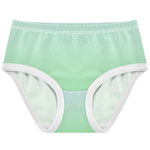 Joisal Personalized Toddler Girls Underwear 2t Cotton Cute Panties Girl Elegant Blue Light Green Gradient Briefs Girls Undies