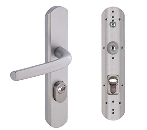 Poignée sur plaque argent - Clé I - Secumax up - Vachette Cover