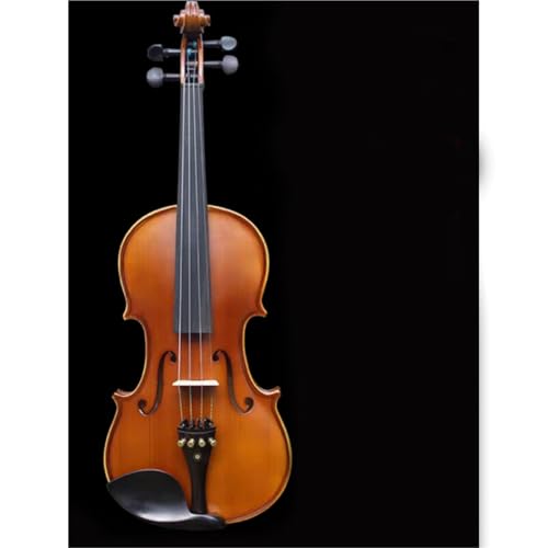 AR[XeBbNoCI tTCY̎薳CރoCIAKƎpAS҂Ƒl̊yR[q[(1/4)