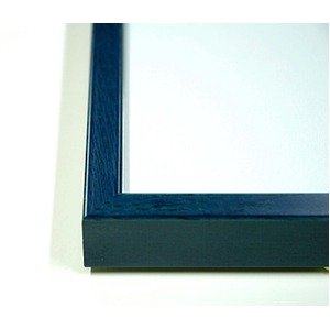 Amazon.co.jp: デッサン額縁/フレーム 【インチサイズ 254×203mm