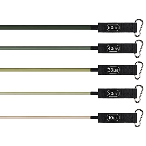 Retrospec Train Resistance Bands Set (5Pc) Workout Bands W/Handles, Door Anchor, Carry Bag For Women & Men, Cactus #TOP1
