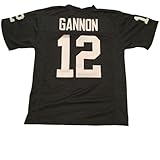 Generic Rich Gannon Black Jersey Stitched Custom Football New No Brand/Logos (US, Alpha, Large, Regular, Regular, Black)