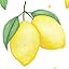 22 - Lemons