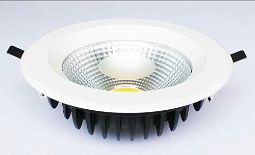 Shanny Cob Led Downlight Spot Light 8inch 30w White Color 6500k Ceiling Light Recessed Lighting Fixture Bathroom Toilet Kitchen Commercial Lights