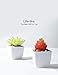 Veryhome Fake Succulents Plants Artificial Faux Succulents Small 4pcs Mini Potted Plastic Succulents for Christmas Home Office Living Room Desk Decor Aesthetic