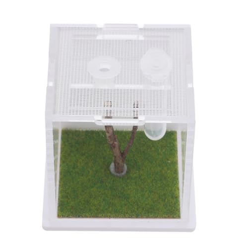 INOOMP アクリル製 トリグモ飼育箱 透明昆虫容器 餌ケース付き 爬虫類用通気性デザイン 小型テラリウム クモや昆虫の観察に適した展示ボックス