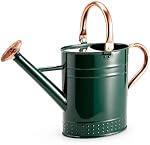 Bamworld Watering Can Indoor Plants 1 Gallon Galvanized Steel Watering Can Long Spout Water Can for Indoor Outdoor Garden Plants Watering(Green)