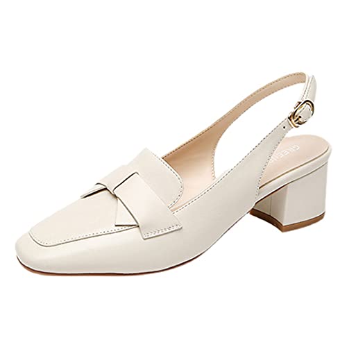 [HIFEOS] pvX obNXgbv T_ ɂȂ   ꂢ ~hq[ XNGAq[ Ȃ ₷ x[W fB[X ʋ ʊw ItBX TCY 傫TCY ᔽC\[ 25.0cm