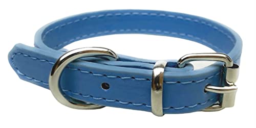 Vibrant Hundehalsband und Leine aus Leder, Kombi-Set für Welpen, Hunde, S, M und L (XS (20 cm – 26 cm Hals), Himmelblau