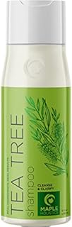 Tea Tree Shampoo for Oily Hair - Sulfate Free Clarifying Shampoo for Build Up with Pure Tea Tree Oil for Hair Volume Shine and Dry Scalp - Deep Cleansing Shampoo for Greasy Hair and Oily Scalp Care