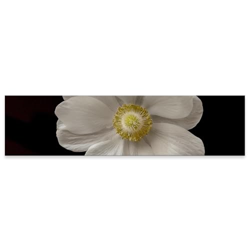 A[gpl G G  igsticker 1200mmx300mm tHg Ch Ǌ| ؘg CeA  023470  t[