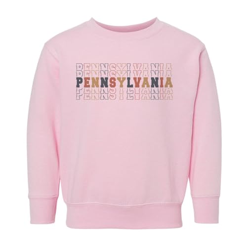 Stacked Pennsylvania Kids Sweatshirt Toddler 4T Pink