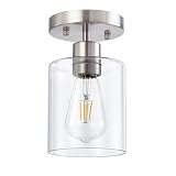 DIDUIO 1-Light Brushed Nickel