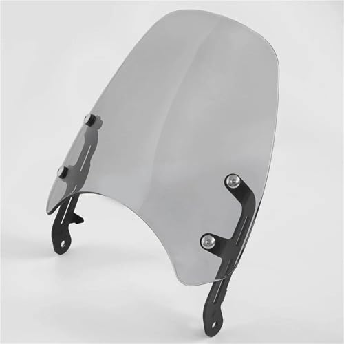 Pare-Brise Moto Triumph T100 T120 Déflecteur Vent Accessoire Protection 2016-2022