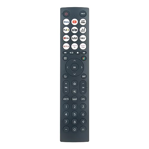 Télécommande EN2E36 EN2E36H pour retrouver les fonctions de votre TV Hisense