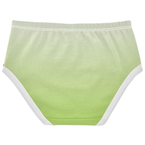 Joisal Magnolia Yellow Green Gradient Panties Little Girl Toddler Underwear Floral Cotton Stylish Briefs Undies Kids 2t2