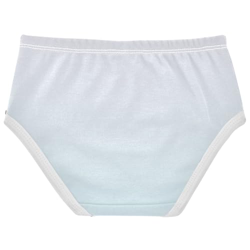 Joisal Ombre Pale Blue Gradient Cute Panties Girl Toddler Girls Underwear Cotton Cartoon Kids Undies Briefs 2t2