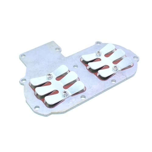 Clapets d'admission 689-13610-01 pour moteur bateau 2T 30CV