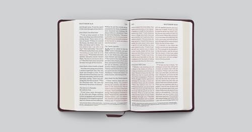 ESV Giant Print Personal Size Bible, Red Letter (TruTone, Mahogany): Holy Bible, English Standard Version - image 4
