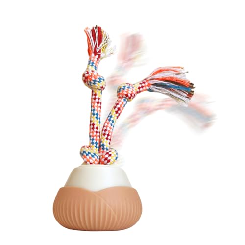 C^NeBu LbggC {[ | X}[g^@\^CvC[d, LbggC | OΉg[jOVїs^V~[Vp