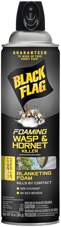 Black Flag Foaming Wasp & Hornet Killer, Kills Wasps and Hornets Nests By Contact For Insects, 14 Ounce (Aerosol Spray)