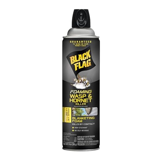 Black Flag Foaming Wasp & Hornet Killer, Kills Wasps and Hornets Nests By Contact, 14 Ounce (Aerosol Spray)