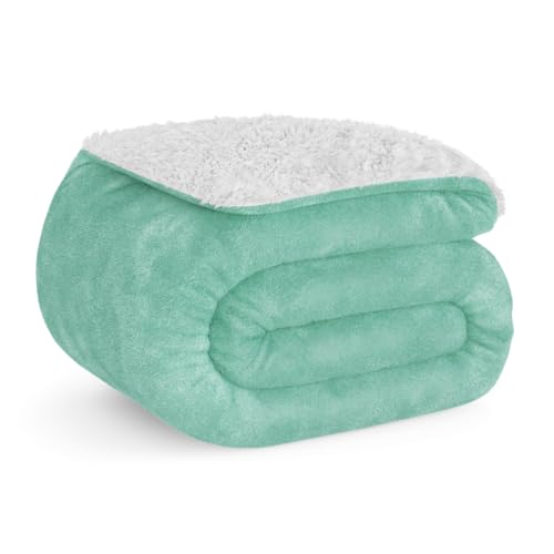 Don Descanso - Manta para Sofá Invierno Grande (150x200cm) Microfibra Suave, Cálida, Lavable a Máquina, Resistente a Las Arrugas. Manta Borreguito para Cama 90/105 o Sofá Verde Menta
