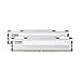 KLEVV FIT V 32GB (2X 16GB) DDR5 Gaming RAM 6000MT/s PC5-48000 Ungepuffert Non-ECC 1,35V CL30 Speicherkit