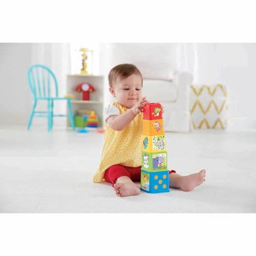 Fisher-Price Meus Primeiros Blocos de Animaizinhos