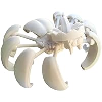 Amazon.co.jp: QIANAIWO 2024 新ハロウィンパンプキンスパイダー