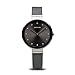 Produktbild BERING Damen Uhr Quarz Movement - Classic Collection mit Satin und Saphirglas 12034-XXX Armbandsuhren - 3 ATM, Grau/Silber