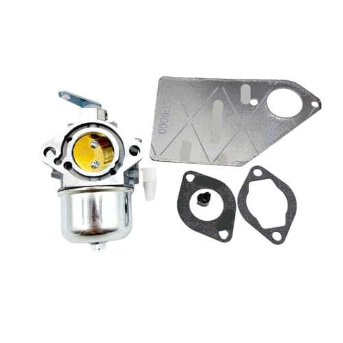 Carburateur pour 497451 690144 695501 alimentation moteur thermique