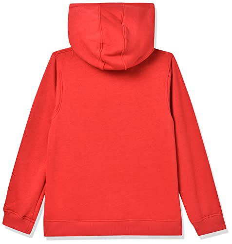 Image of Frozen Baby-Boys Sweatshirt