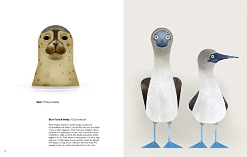 Wild Animals of the World