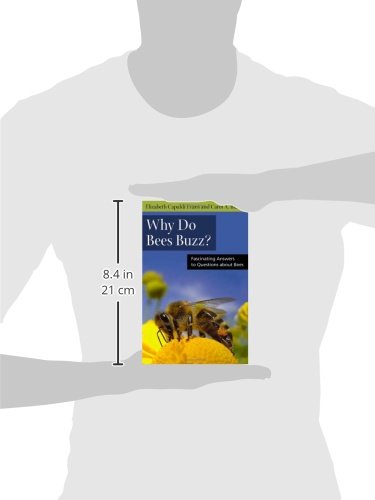 Why Do Bees Buzz?: Fascinating Answers to Questions about Bees (Animals Q & A) - Image 2