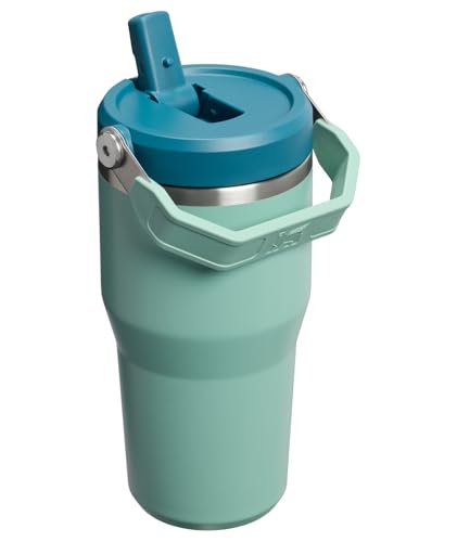 Image of STANLEY IceFlow 2.0 Flip Straw Tumbler with Handle 20 oz | Twist On Lid and Flip Up Straw | Leakproof Water Bottle | Insulated Stainless Steel | BPA-Free | Spring Green