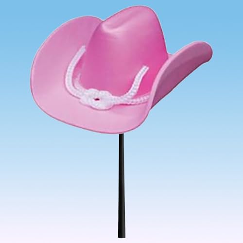 Tenna Tops Pink Cowgirl Cowboy Hat Car Decor Antenna Topper Auto Accessory