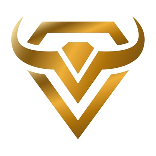 BWF Ventures - Quỹ Đầu Tư Mạo Hiểm cover art